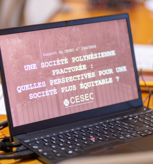 CESEC une séance pas comme les autres